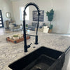 Dual Action Commercial Kitchen Faucet, NKF-H07