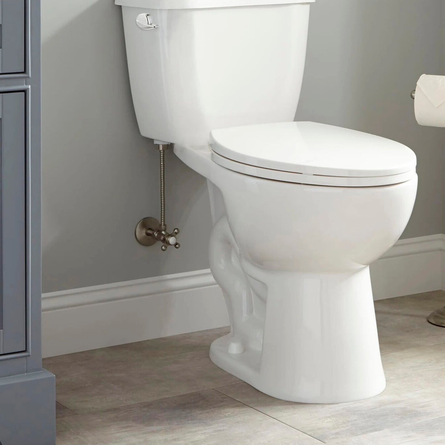 Single Flush Elongated One Piece Toilet, Seat Included - NT-222150
