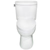 Single Flush Elongated One Piece Toilet, Seat Included - NT-222150