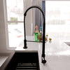 Dual Action Commercial Kitchen Faucet, NKF-H07