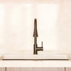 Dual Action Single-Handle Pull-Down Sprayer Kitchen Faucet w/ Deck Plate, NKF-H14