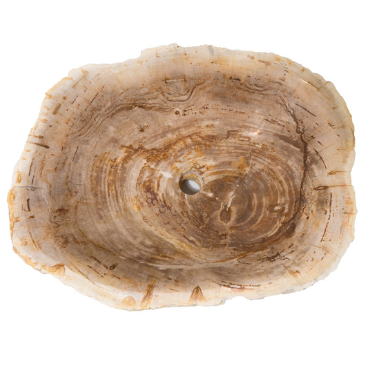 Petrified fossil wood vessel sink in transitional style by Novatto, viewed from above, showcasing natural wood grain and smooth surface.