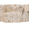 Petrified Fossil Wood Vessel Sink, NOSV-FW