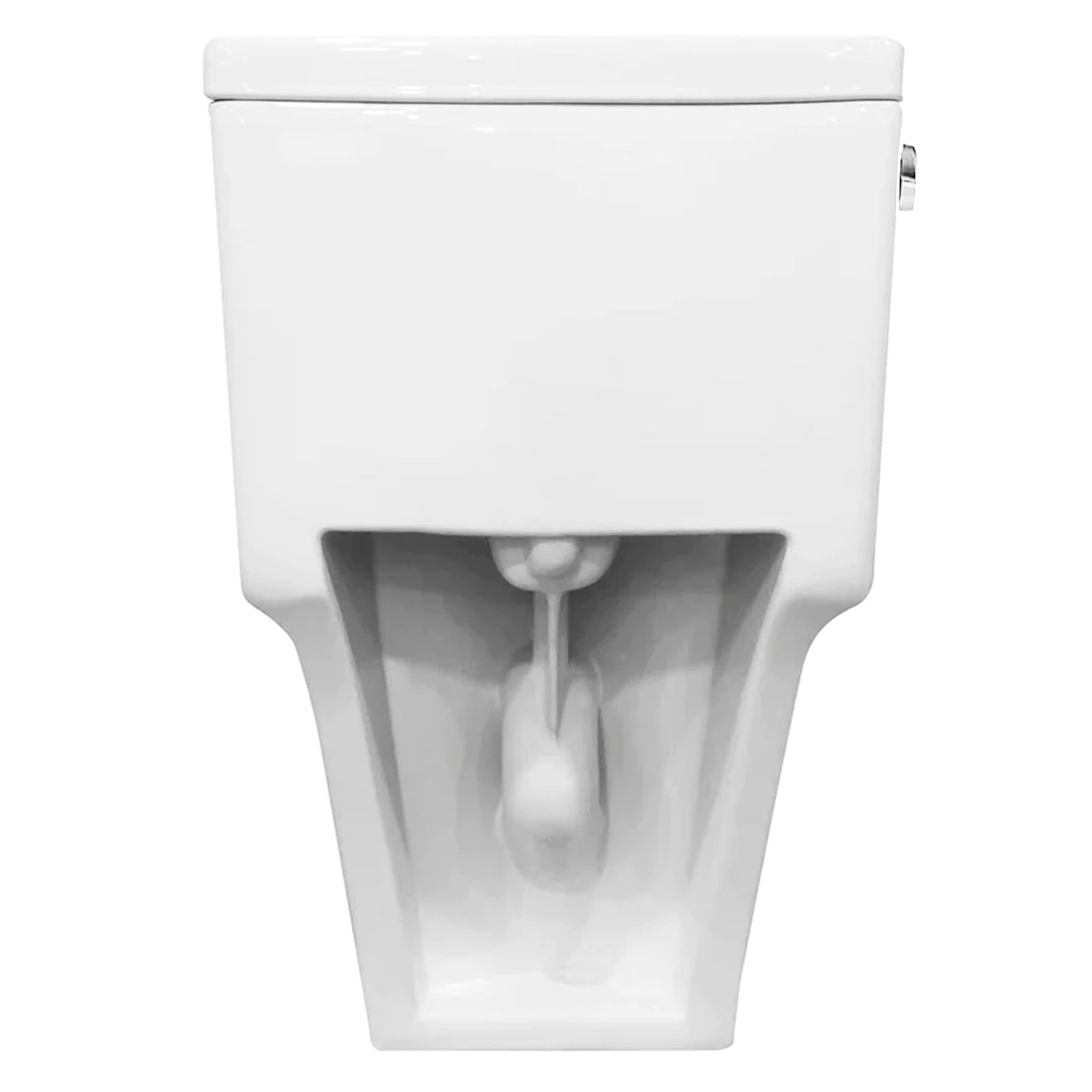Single Flush Elongated One Piece Toilet, Seat Included - NT-222150