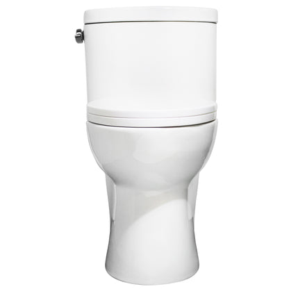 Single Flush Elongated One Piece Toilet, Seat Included - NT-222150