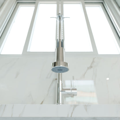 Dual Action Commercial Style Pull-Down Bar and Prep Faucet Series, NKF-H010