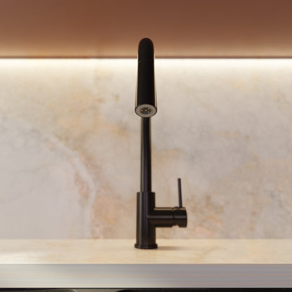 Dual Action Single Lever Pull-down Kitchen Faucet, NKF-H13 Series