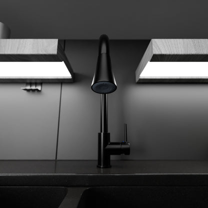 Dual Action Single-Handle Pull-Down Sprayer Kitchen Faucet w/ Deck Plate, NKF-H14