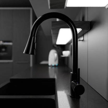 Dual Action Single-Handle Pull-Down Sprayer Kitchen Faucet w/ Deck Plate, NKF-H14