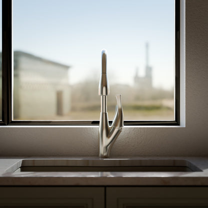 Dual Action Single Lever Pull-Down Kitchen Faucet, NKF-H21 Series