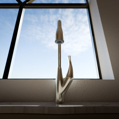 Dual Action Single Lever Pull-Down Kitchen Faucet, NKF-H21 Series