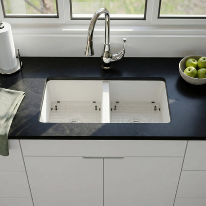 StoneCore 50/50 Double Bowl Kitchen sink in Alpine White - NKS-SC5050-ALPWHT