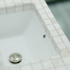 Rectangular Undermount White Porcelain Sink with Overflow, NP-U233921