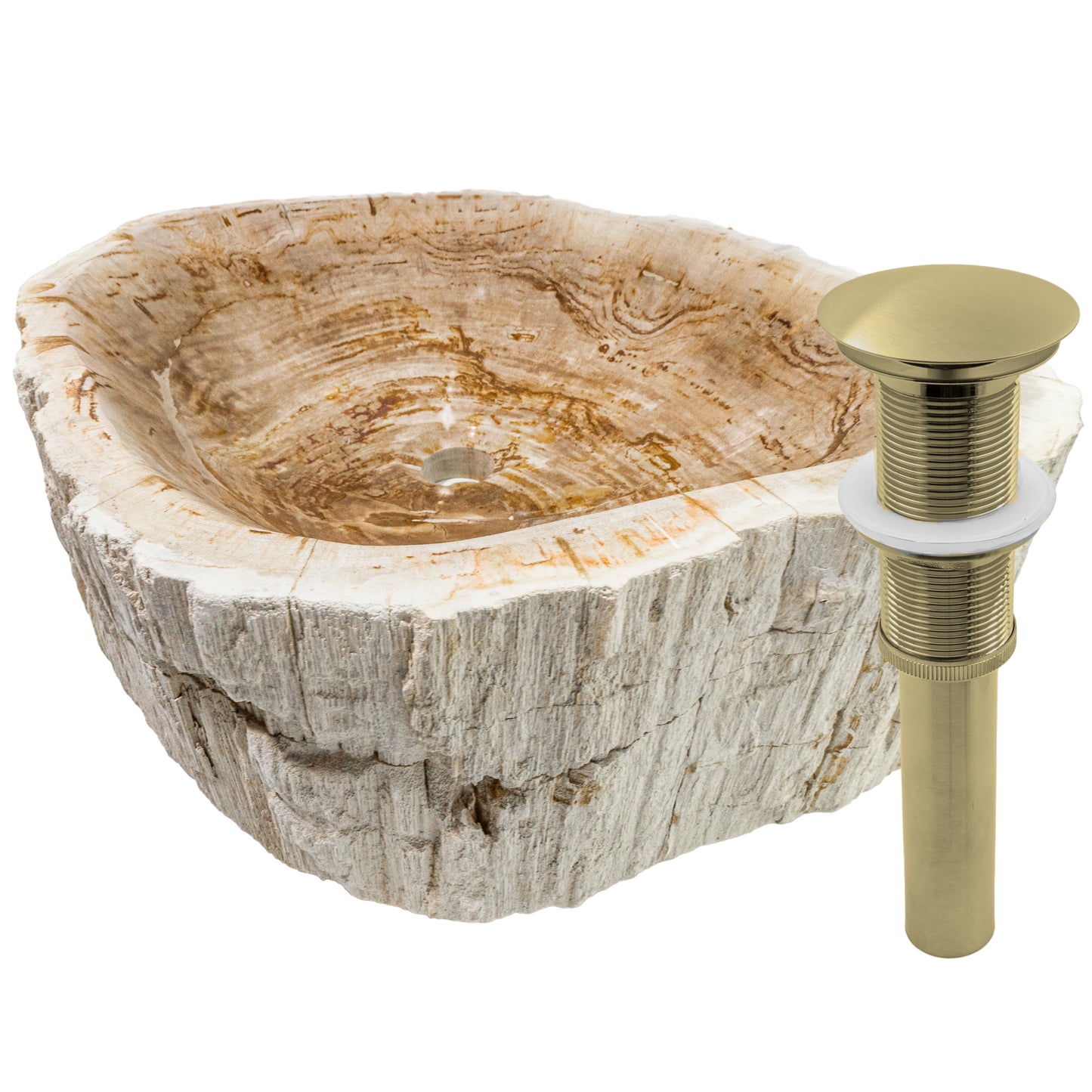 Petrified Fossil Wood Vessel Sink, NOSV-FW