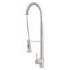 dual action pull down brushed nickel kitchen faucet