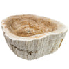 Petrified Fossil Wood Vessel Sink, NOSV-FW