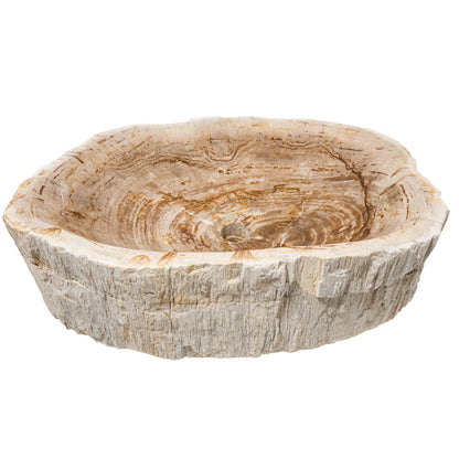 Petrified Fossil Wood Vessel Sink, NOSV-FW