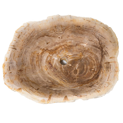 petrified wood bath sink