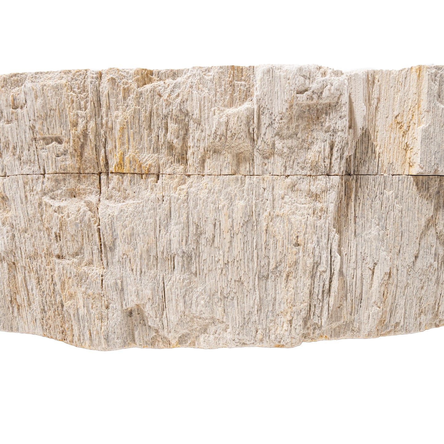 Petrified Fossil Wood Vessel Sink, NOSV-FW