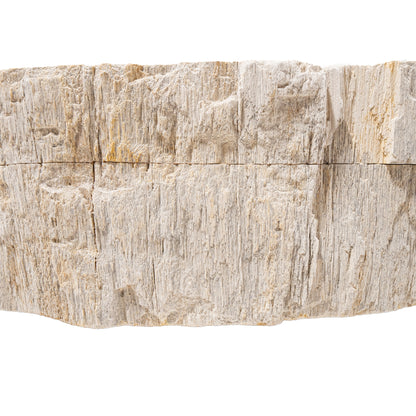 Petrified Fossil Wood Vessel Sink, NOSV-FW