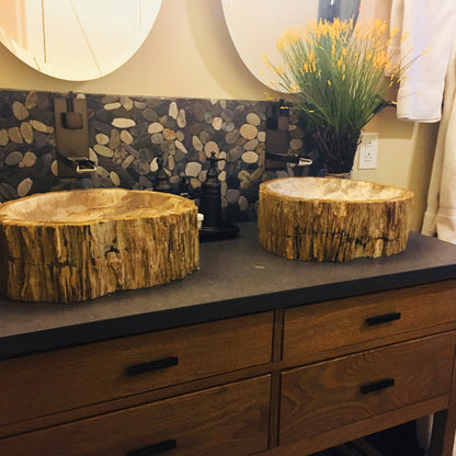 Petrified Fossil Wood Vessel Sink, NOSV-FW