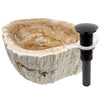 petrified wood vessel sink with umbrella drain oil rubbed bronze